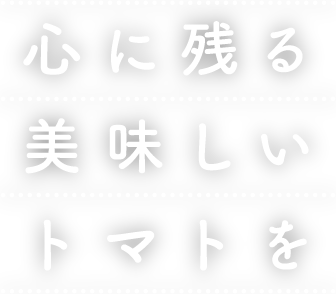 心に残る美味しいトマトを