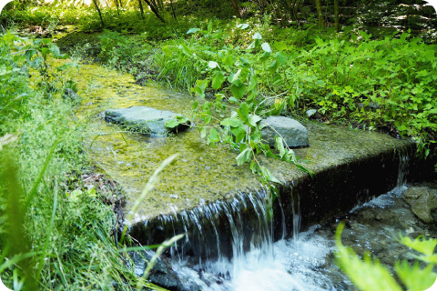 上質な水を得られる地域特性